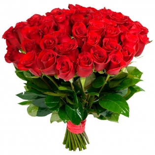 Розы Эквадор красные 51 шт